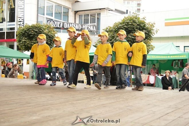 VII Targi Ekologiczne i Jarmark Ostrołęcki [22.09.2013] - zdjęcie #8 - eOstroleka.pl