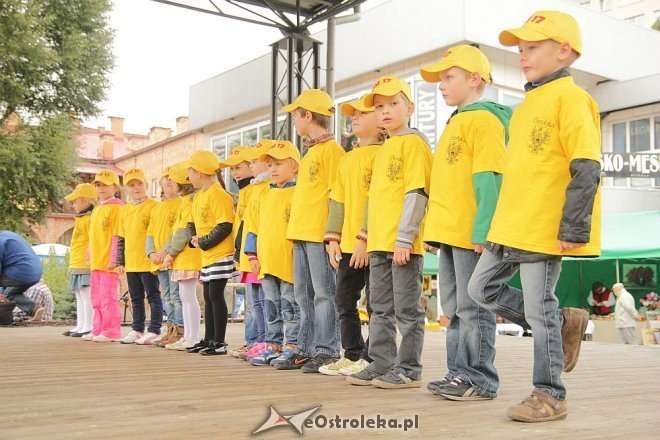 VII Targi Ekologiczne i Jarmark Ostrołęcki [22.09.2013] - zdjęcie #6 - eOstroleka.pl