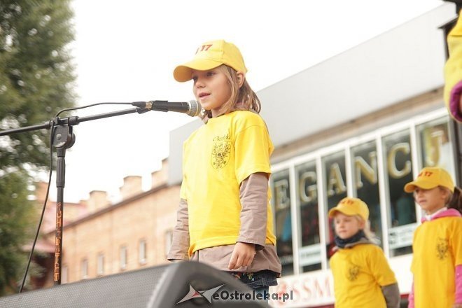 VII Targi Ekologiczne i Jarmark Ostrołęcki [22.09.2013] - zdjęcie #5 - eOstroleka.pl