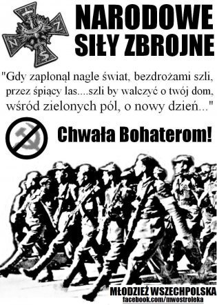 Ostrołęka: Młodzież Wszechpolska uczciła 71 rocznice powstania Narodowych Sił Zbrojnych - zdjęcie #1 - eOstroleka.pl