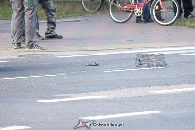 Ostrołęka: Potrącenie rowerzysty na przejściu dla pieszych [23.09.2013] - zdjęcie #3 - eOstroleka.pl