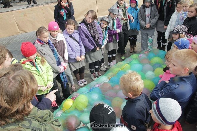 Kropla Krwi – Ocean Życia i jubileusz 100-lecia ostrołęckiego harcerstwa [28.09.2013] - zdjęcie #14 - eOstroleka.pl