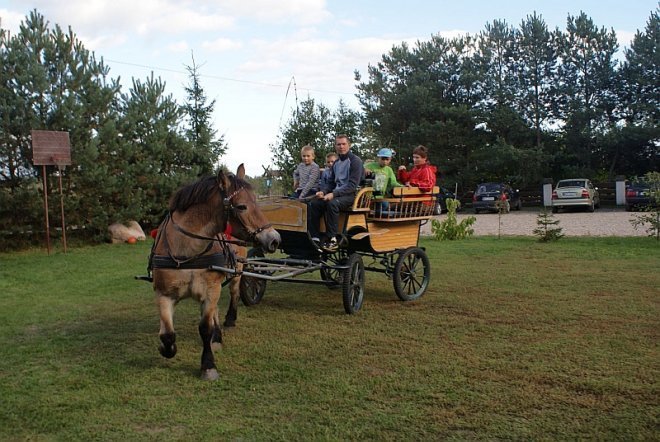 Jesień z Uśmiechem 2013 - zdjęcie #8 - eOstroleka.pl