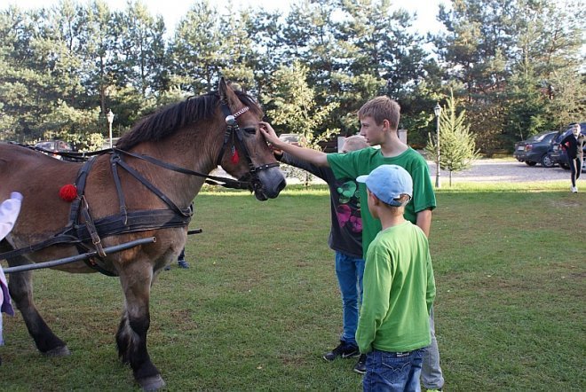 Jesień z Uśmiechem 2013 - zdjęcie #6 - eOstroleka.pl