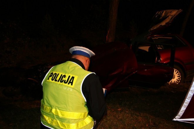 Łodziska: Śmiertelny wypadek. Samochód zderzył się z łosiem. Nie żyje 28-letni mężczyzna [02.10.2013] - zdjęcie #1 - eOstroleka.pl