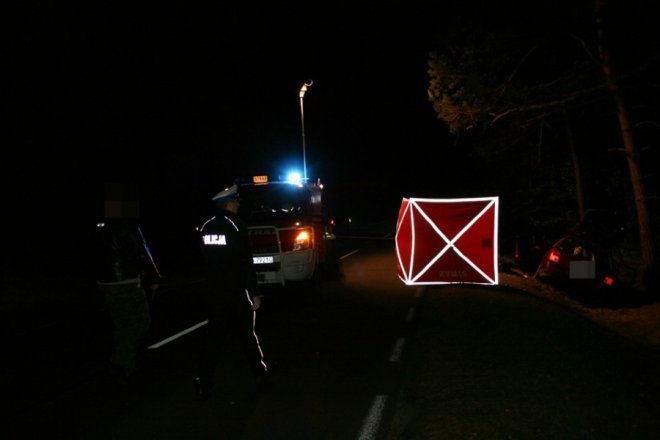 Łodziska: Śmiertelny wypadek. Samochód zderzył się z łosiem. Nie żyje 28-letni mężczyzna [02.10.2013] - zdjęcie #4 - eOstroleka.pl