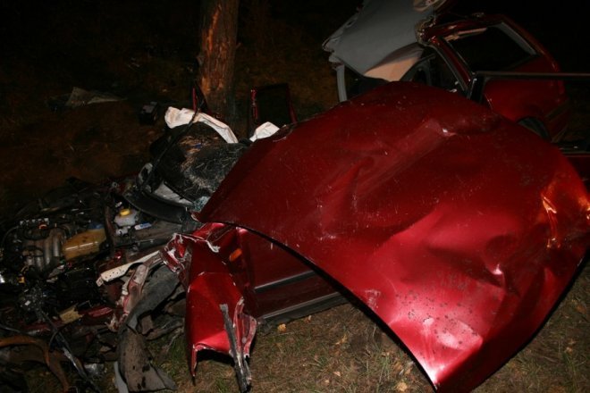 Łodziska: Śmiertelny wypadek. Samochód zderzył się z łosiem. Nie żyje 28-letni mężczyzna [02.10.2013] - zdjęcie #5 - eOstroleka.pl