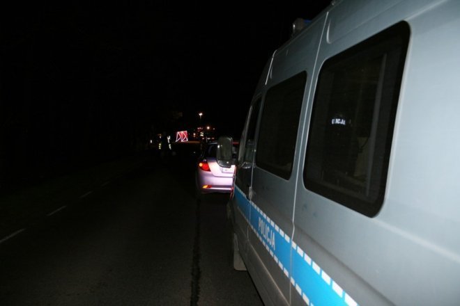 Łodziska: Śmiertelny wypadek. Samochód zderzył się z łosiem. Nie żyje 28-letni mężczyzna [02.10.2013] - zdjęcie #6 - eOstroleka.pl