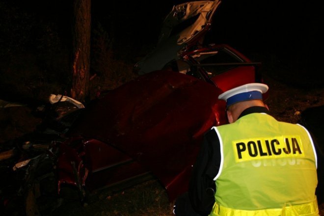 Łodziska: Śmiertelny wypadek. Samochód zderzył się z łosiem. Nie żyje 28-letni mężczyzna [02.10.2013] - zdjęcie #7 - eOstroleka.pl