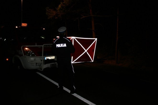 Łodziska: Śmiertelny wypadek. Samochód zderzył się z łosiem. Nie żyje 28-letni mężczyzna [02.10.2013] - zdjęcie #8 - eOstroleka.pl