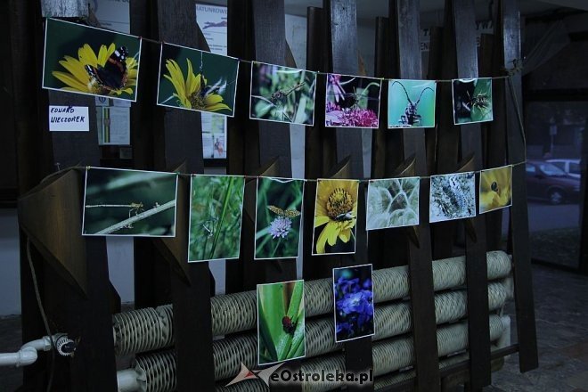 Ostrołęcki Festiwal Fotograficzny: Galeria Bezdomna w „starej pływalni” [ZDJĘCIA] - zdjęcie #12 - eOstroleka.pl