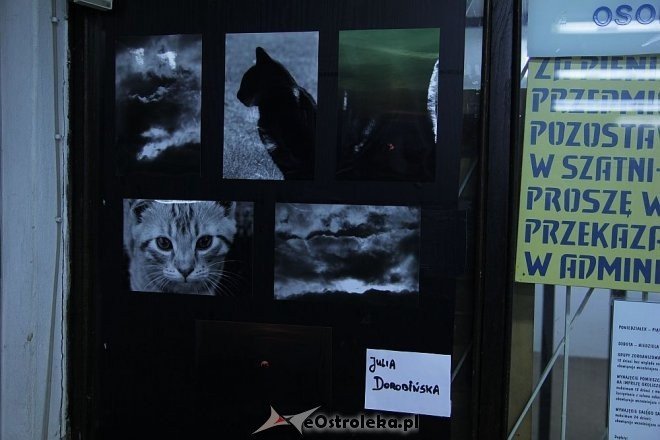 Ostrołęcki Festiwal Fotograficzny: Galeria Bezdomna w „starej pływalni” [ZDJĘCIA] - zdjęcie #11 - eOstroleka.pl