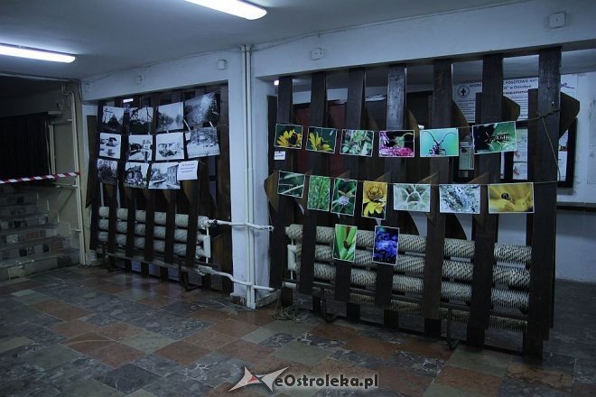 Ostrołęcki Festiwal Fotograficzny: Galeria Bezdomna w „starej pływalni” [ZDJĘCIA] - zdjęcie #6 - eOstroleka.pl