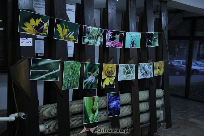 Ostrołęcki Festiwal Fotograficzny: Galeria Bezdomna w „starej pływalni” [ZDJĘCIA] - zdjęcie #4 - eOstroleka.pl