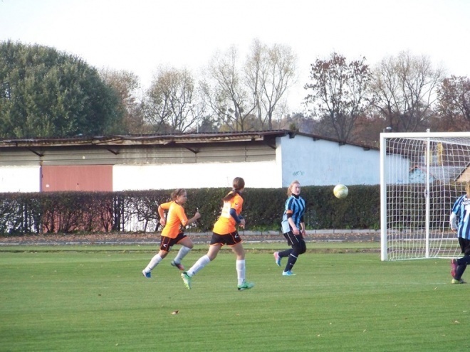 Jantar Ostrołęka - Olimpia Olsztynek (19.10.2013) - zdjęcie #62 - eOstroleka.pl