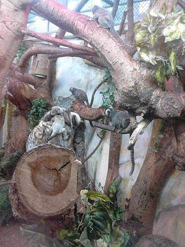 Wycieczka mieszkańców OSM do Warszawy - zdjęcie #8 - eOstroleka.pl