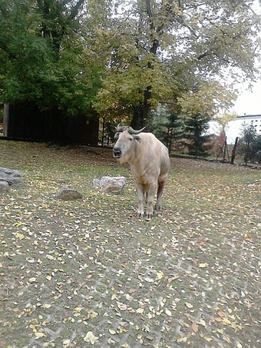 Wycieczka mieszkańców OSM do Warszawy - zdjęcie #7 - eOstroleka.pl