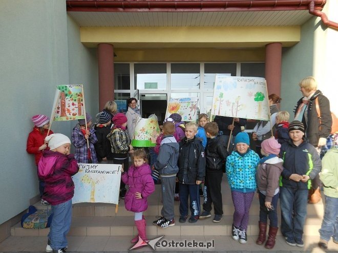 Uczniowie SP w Rzekuniu ponownie ratowali kasztanowce [25.10.2013] - zdjęcie #1 - eOstroleka.pl