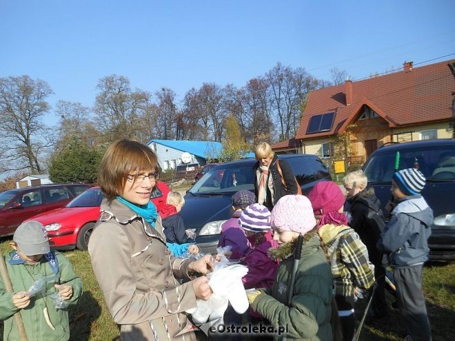 Uczniowie SP w Rzekuniu ponownie ratowali kasztanowce [25.10.2013] - zdjęcie #6 - eOstroleka.pl