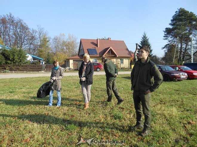 Uczniowie SP w Rzekuniu ponownie ratowali kasztanowce [25.10.2013] - zdjęcie #10 - eOstroleka.pl