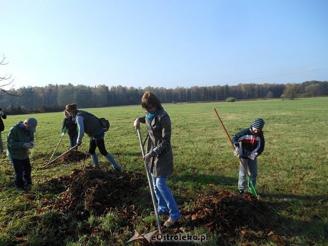 Uczniowie SP w Rzekuniu ponownie ratowali kasztanowce [25.10.2013] - zdjęcie #25 - eOstroleka.pl