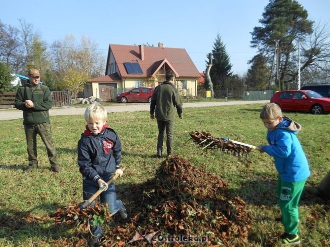 Uczniowie SP w Rzekuniu ponownie ratowali kasztanowce [25.10.2013] - zdjęcie #33 - eOstroleka.pl