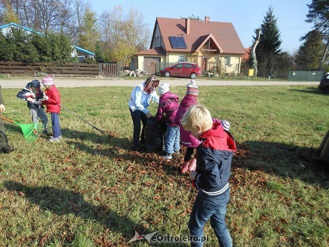 Uczniowie SP w Rzekuniu ponownie ratowali kasztanowce [25.10.2013] - zdjęcie #41 - eOstroleka.pl