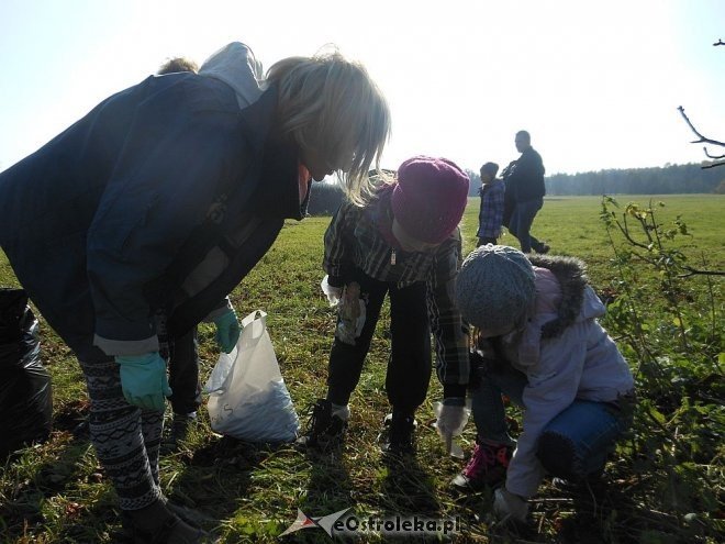 Uczniowie SP w Rzekuniu ponownie ratowali kasztanowce [25.10.2013] - zdjęcie #11 - eOstroleka.pl