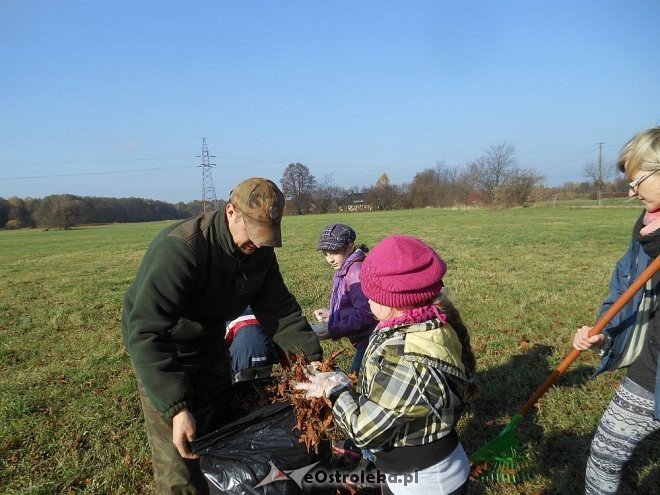 Uczniowie SP w Rzekuniu ponownie ratowali kasztanowce [25.10.2013] - zdjęcie #6 - eOstroleka.pl