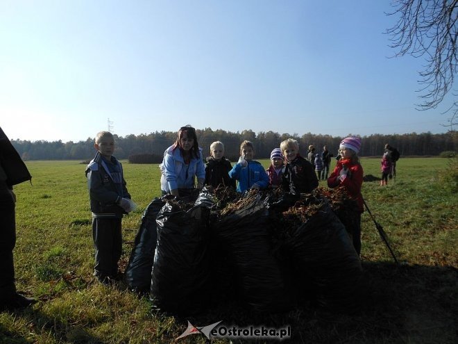 Uczniowie SP w Rzekuniu ponownie ratowali kasztanowce [25.10.2013] - zdjęcie #3 - eOstroleka.pl