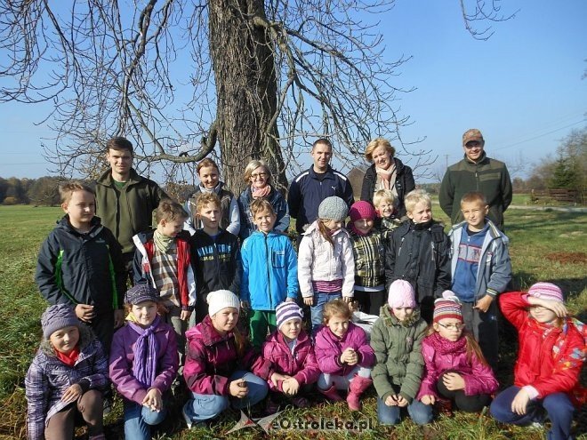 Uczniowie SP w Rzekuniu ponownie ratowali kasztanowce [25.10.2013] - zdjęcie #1 - eOstroleka.pl