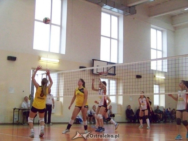 Kadetki: Nike Ostrołęka - Olimpia Węgrów (03.11.2013) - zdjęcie #25 - eOstroleka.pl