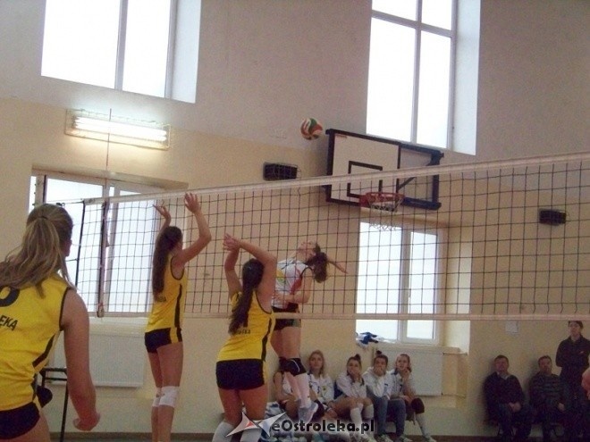Kadetki: Nike Ostrołęka - Olimpia Węgrów (03.11.2013) - zdjęcie #17 - eOstroleka.pl