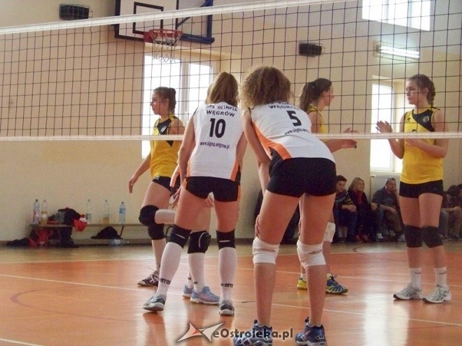 Kadetki: Nike Ostrołęka - Olimpia Węgrów (03.11.2013) - zdjęcie #7 - eOstroleka.pl