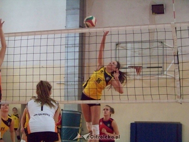 Kadetki: Nike Ostrołęka - Olimpia Węgrów (03.11.2013) - zdjęcie #4 - eOstroleka.pl