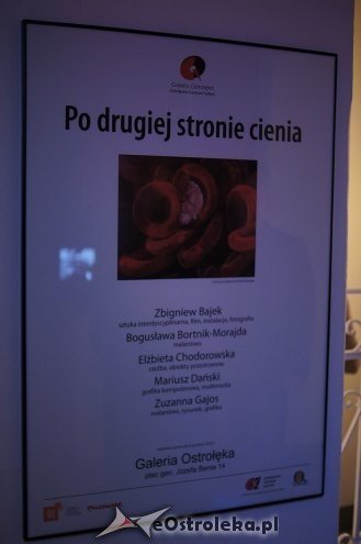 Wernisaż wystawy „Po drugiej stronie cienia” [15.11.2013] - zdjęcie #15 - eOstroleka.pl