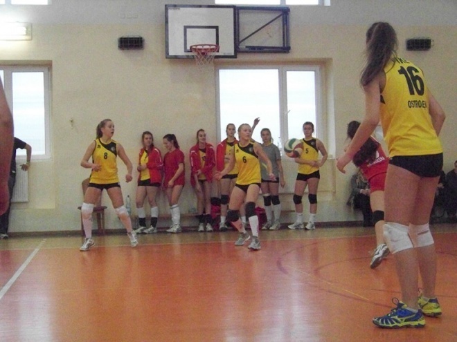 Kadetki: Nike Ostrołęka - Ósemka Siedlce (24.11.2013) - zdjęcie #20 - eOstroleka.pl