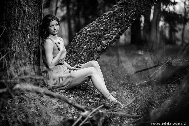 Aleksandra Stolarczyk, Dziewczyna Listopada 2013 w konkursie Ostrołęka Beauty - zdjęcie #2 - eOstroleka.pl