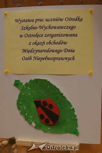 Wystawa oraz kiermasz prac uczniów Ośrodka Szkolno-Wychowawczego w Ostrołęce [11.12.2013] - zdjęcie #21 - eOstroleka.pl