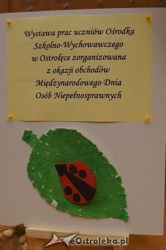 Wystawa oraz kiermasz prac uczniów Ośrodka Szkolno-Wychowawczego w Ostrołęce [11.12.2013] - zdjęcie #11 - eOstroleka.pl