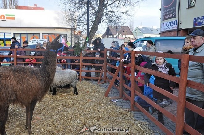 Miejska Wigilia 2013 [21.12.2013] - zdjęcie #12 - eOstroleka.pl