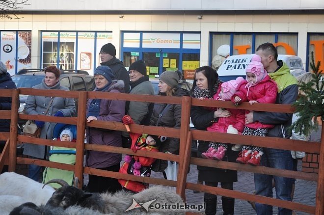 Miejska Wigilia 2013 [21.12.2013] - zdjęcie #9 - eOstroleka.pl