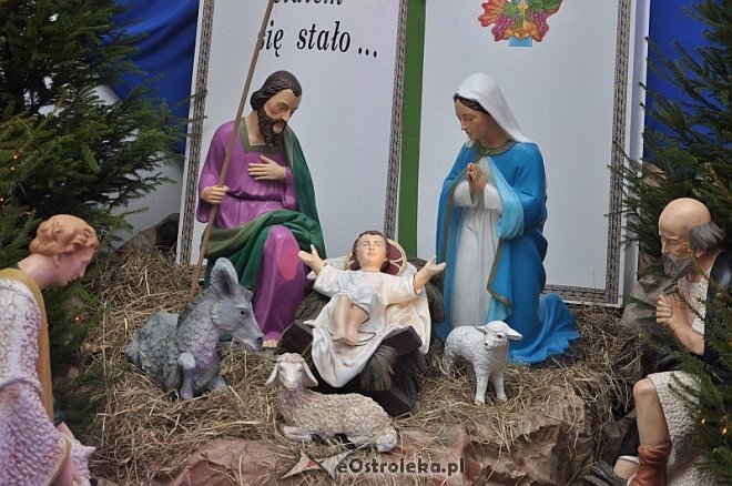 Szopki Bożonarodzeniowe w ostrołęckich parafiach [16.12.2013] - zdjęcie #8 - eOstroleka.pl