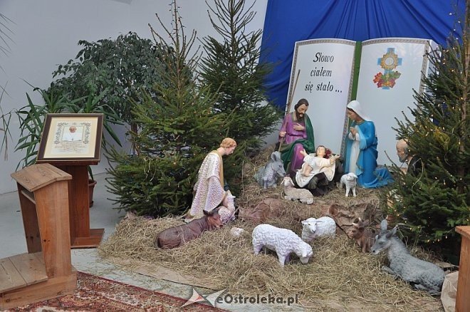 Szopki Bożonarodzeniowe w ostrołęckich parafiach [16.12.2013] - zdjęcie #10 - eOstroleka.pl