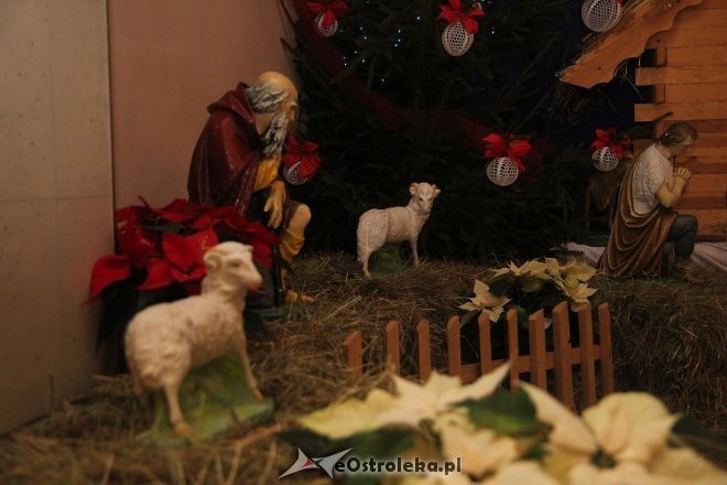 Szopki Bożonarodzeniowe w ostrołęckich parafiach [16.12.2013] - zdjęcie #22 - eOstroleka.pl