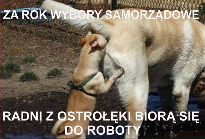 Memy o Ostrołęce - zdjęcie #2 - eOstroleka.pl