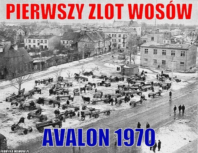Memy o Ostrołęce - zdjęcie #9 - eOstroleka.pl