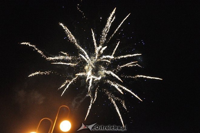 WOŚP 2014 w Ostrołęce [12.01.2013] - zdjęcie #19 - eOstroleka.pl