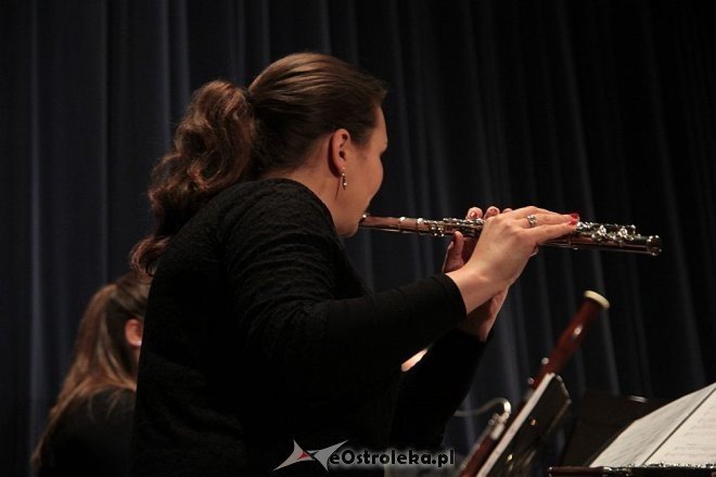 Spotkania z muzyką: Jak gra powietrze [12.02.2014] - zdjęcie #18 - eOstroleka.pl