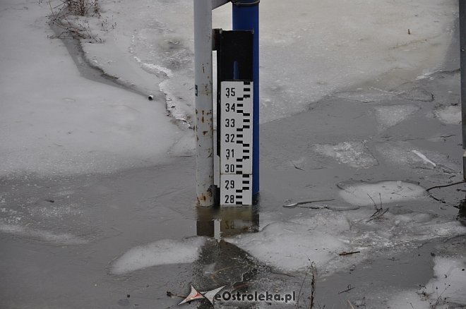 Obecny stan poziomu wody w Narwi [25.02.2014] - zdjęcie #1 - eOstroleka.pl